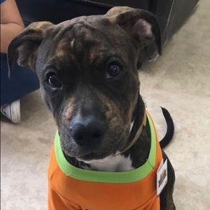 Meet your Posher, Yanet